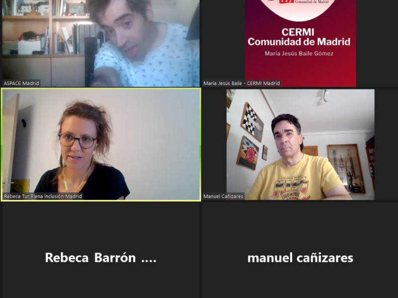 Comisión telemática de Trabajo de Cultura, Deporte y Juventud de CERMI Comunidad de Madrid