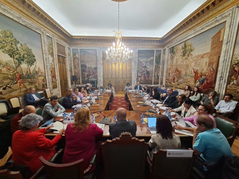 Grupo de Trabajo de Inclusión Social organizado por la Delegación del Gobierno en Madrid