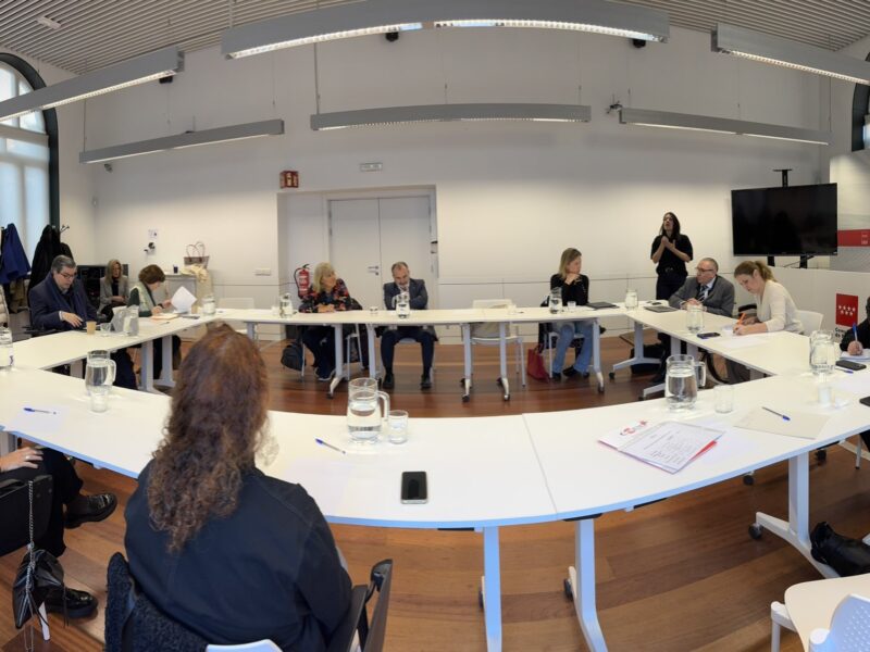 Comité Ejecutivo Ordinario de CERMI Comunidad de Madrid