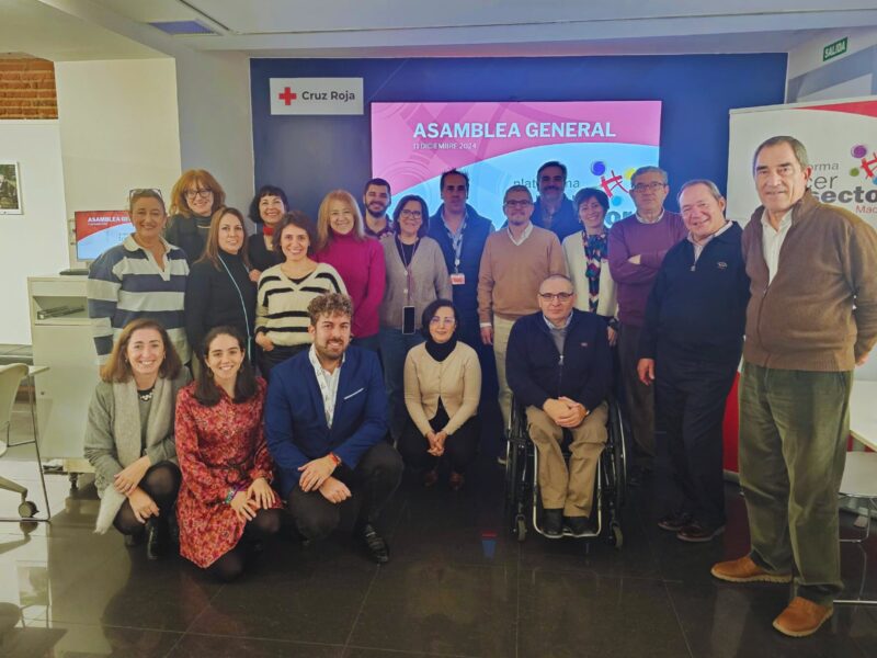 Asamblea de la Plataforma del Tercer Sector de la Comunidad de Madrid