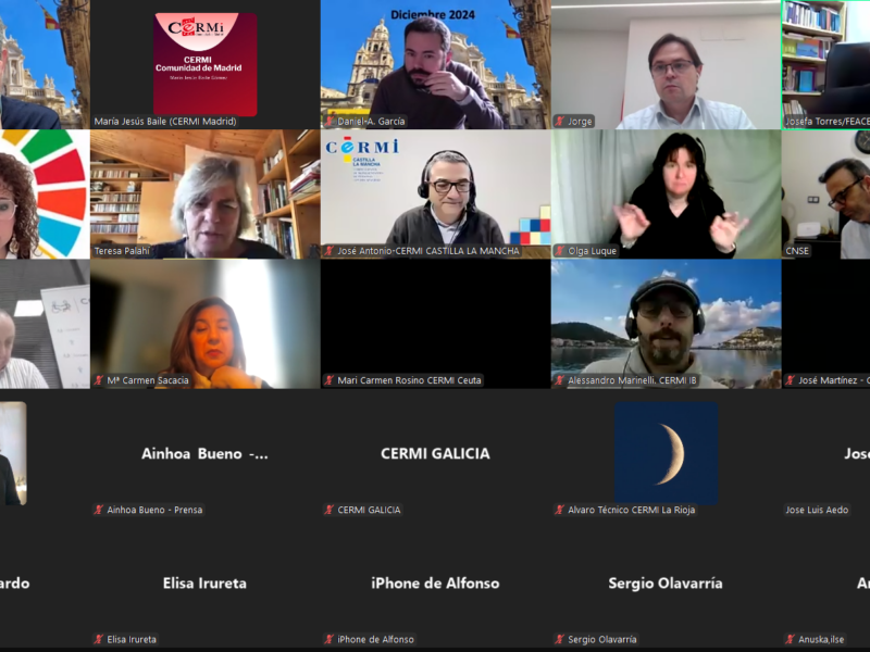 Conferencia telemática CERMI Territorios diciembre 2024