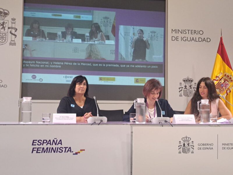 VIII Conferencia Sectorial de la Fundación CERMI Mujeres - Maternidad y Discapacidad: Una agenda pendiente
