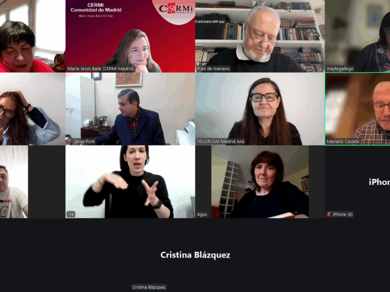 Comité Ejecutivo extraordinario de CERMI Comunidad de Madrid