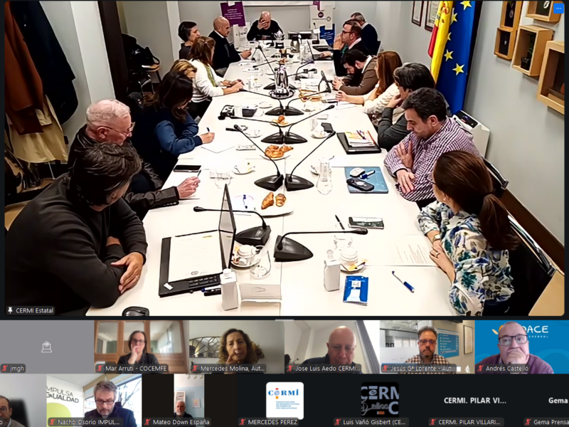 Reunión del Comité Ejecutivo de CERMI Estatal