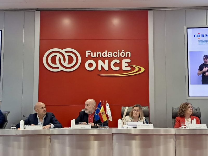Asamblea Ordinaria de CERMI Estatal
