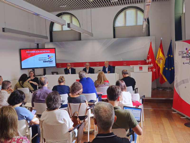 Asamblea General Ordinaria de la Plataforma del Tercer Sector de la Comunidad de Madrid