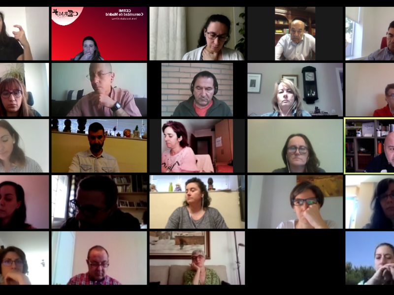 Reunión telemática del Grupo de Trabajo de Sostenibilidad de CERMI Estatal