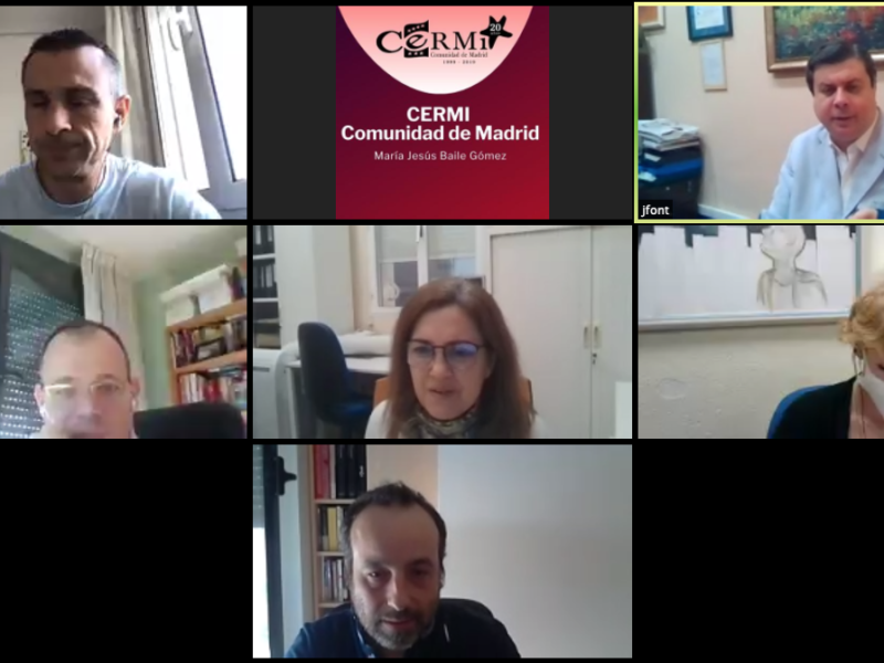 Reunión telemática de la Comisión de Trabajo de Autonomía Personal y Vida Independiente de CERMI Comunidad de Madrid