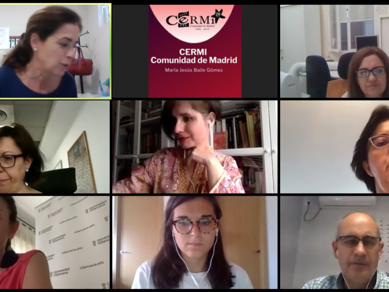 Reunión telemática de la Comisión de Educación y Atención Temprana de CERMI Comunidad de Madrid