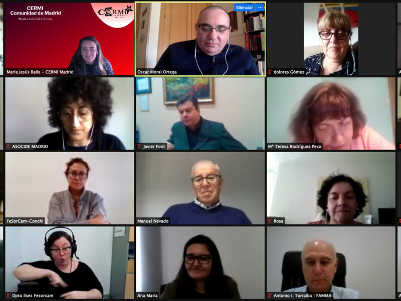 Comité Ejecutivo de CERMI Comunidad de Madrid, con la apertura por parte del Consejero de Políticas Sociales, Familias, Infancia y Natalidad de la Comunidad de Madrid