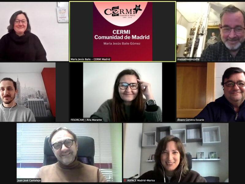 Reunión telemática de la Comisión de Trabajo de Accesibilidad de CERMI Comunidad de Madrid