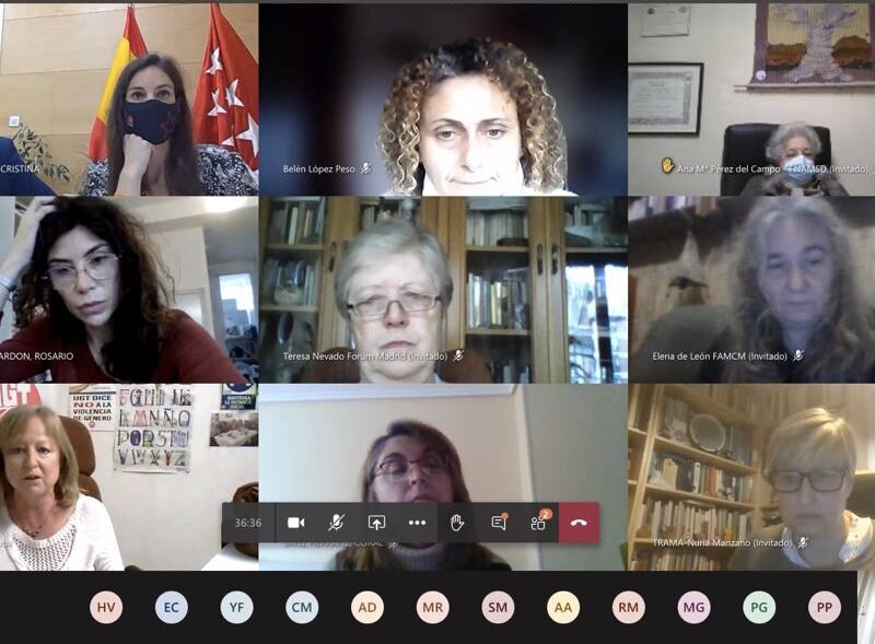 Pleno del Consejo de la Mujer de la Comunidad de Madrid
