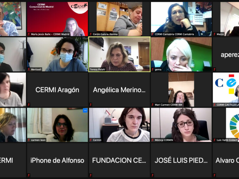 Jornada formativa para las estructuras gerenciales y técnicas de los CERMIs Autonómicos