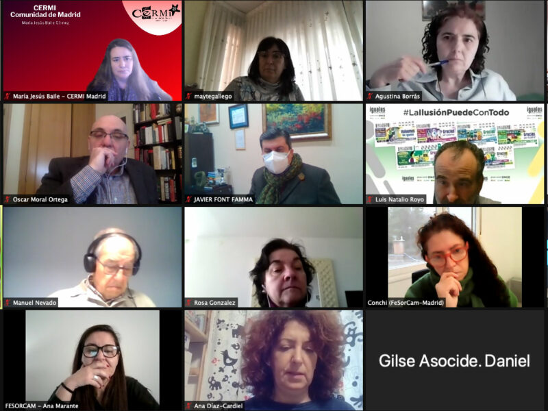 Comité Ejecutivo de CERMI Comunidad de Madrid, con la apertura por parte de la viceconsejera de Políticas Sociales, Familias, Infancia y Natalidad de la Comunidad de Madrid