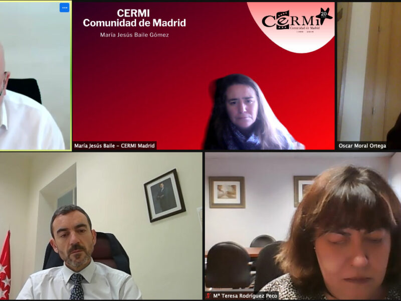 Reunión con la Dirección General de Coordinación Socio-Sanitaria y la Dirección General de Atención a Personas con Discapacidad de la Comunidad de Madrid