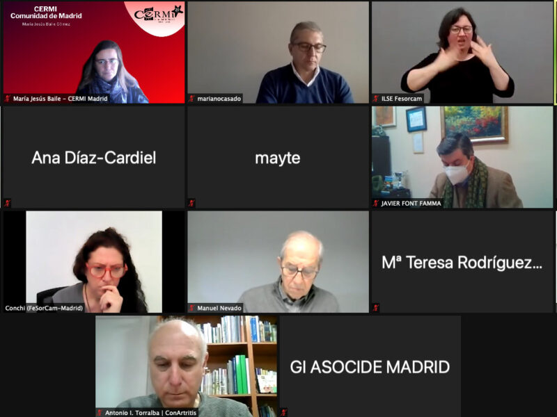 Comité Ejecutivo Extraordinario de CERMI Comunidad de Madrid