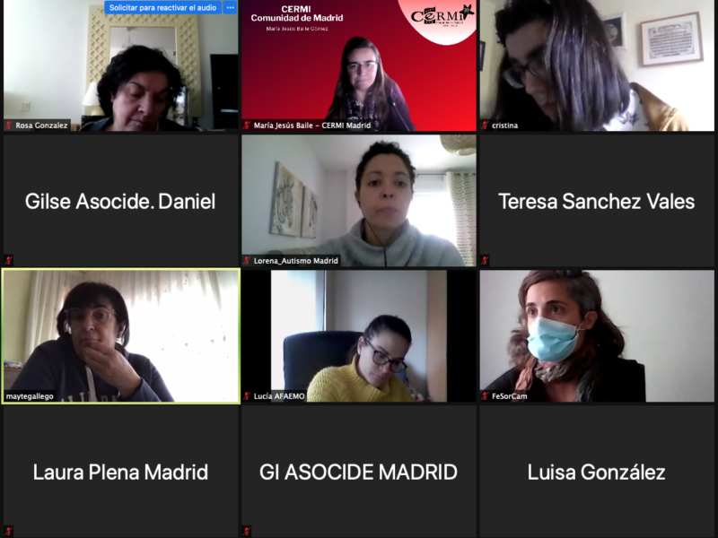 Reunión telemática de la Comisión de Trabajo de Mujer de CERMI Comunidad de Madrid
