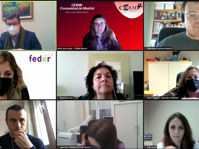 Reunión telemática del Grupo de Trabajo de IRPF de CERMI Comunidad de Madrid