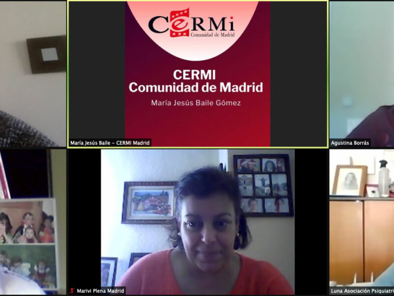 Reunión telemática de la Comisión de Trabajo de Envejecimiento Activo de CERMI Comunidad de Madrid