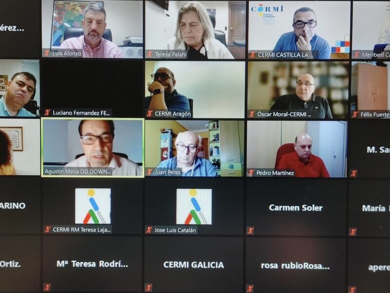 VI Conferencia telemática CERMI Territorios 2021 de CERMI Estatal