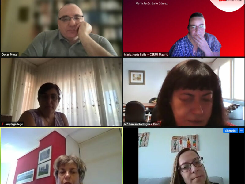 Reunión telemática con el Grupo Parlamentario Socialista de la Asamblea de Madrid