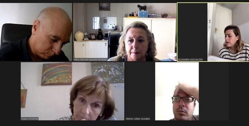 Reunión telemática de la Comisión de Trabajo de Sanidad de CERMI Comunidad de Madrid
