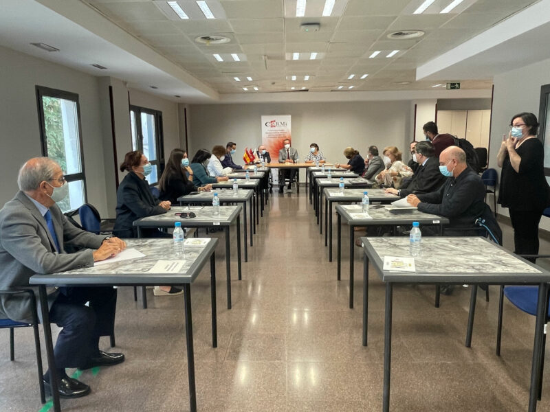 Comité Ejecutivo de CERMI Comunidad de Madrid, apertura por parte del Director General de Atención de Personas con Discapacidad de la CM