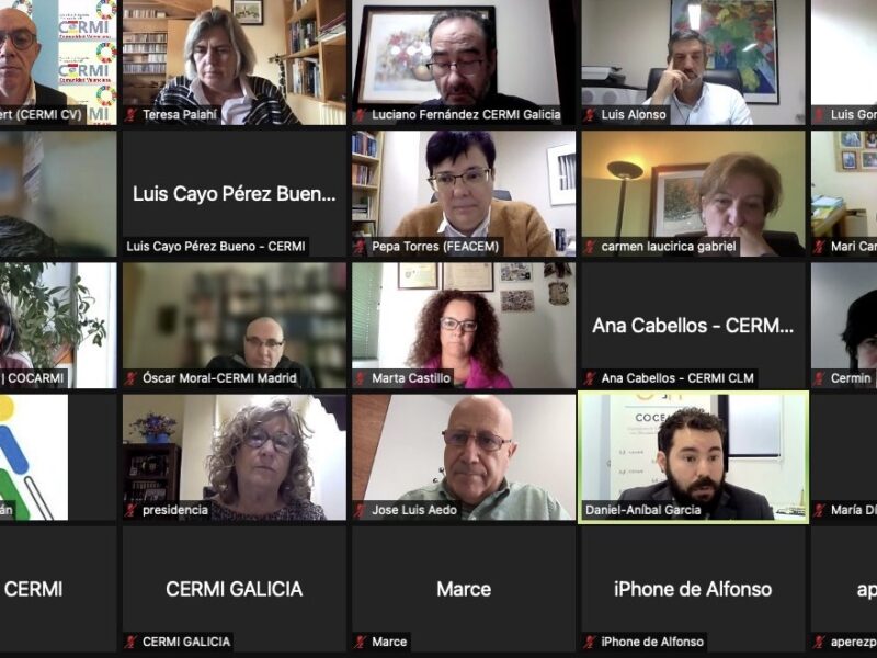 IX Conferencia telemática CERMI Territorios 2021 de CERMI Estat