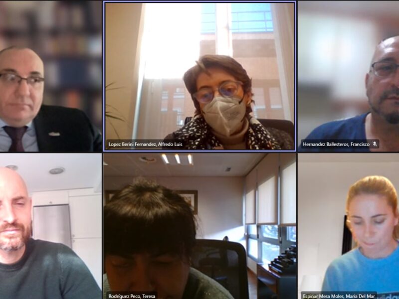 Reunión telemática con la portavoz del Grupo Municipal Socialista del Ayuntamiento de Madrid
