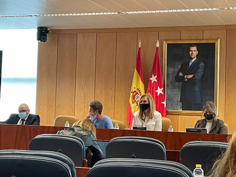 Comparecencia en la Comisión Permanente no Legislativa sobre Políticas Integrales de Discapacidad de la Asamblea de Madrid
