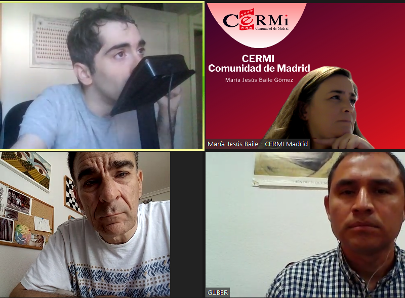 Comisión telemática de Trabajo de Cultura, Deporte y Juventud de CERMI Comunidad de Madrid
