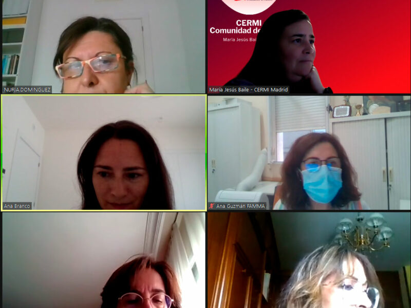 Comisión telemática de Trabajo de Educación y Atención Temprana de CERMI Comunidad de Madrid