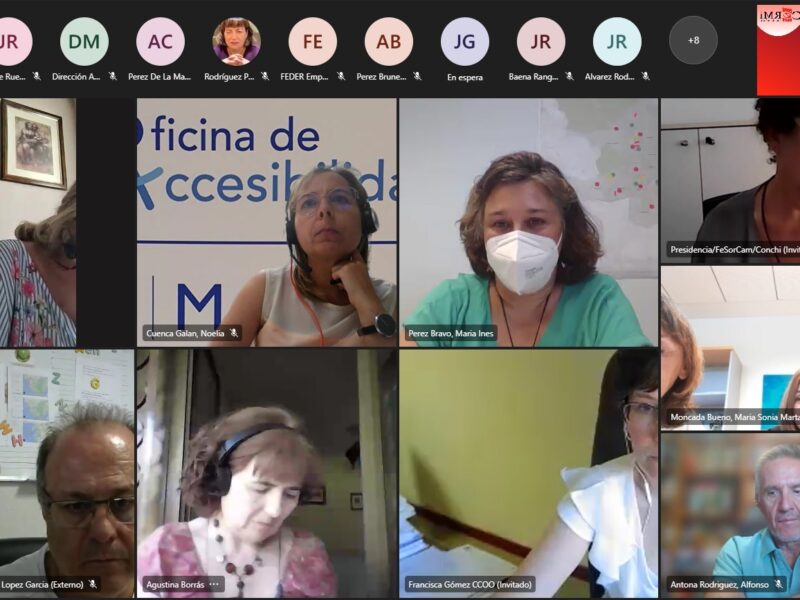 Pleno del Consejo Municipal de la Discapacidad del Ayuntamiento de Madrid