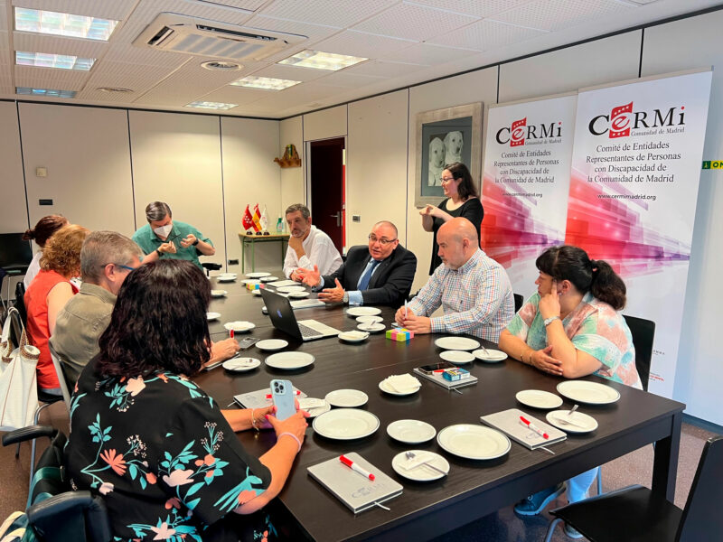Encuentro de trabajo con CERMI Estatal