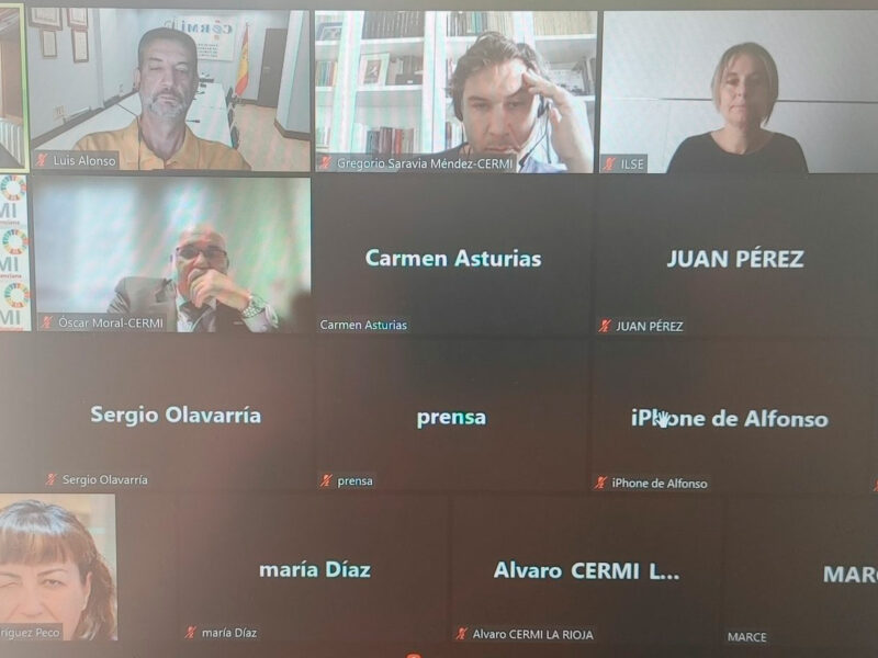 Conferencia telemática CERMI Territorios julio 2022 de CERMI Estatal