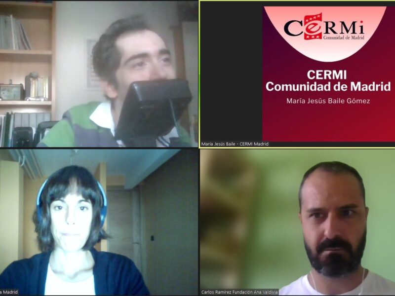Comisión telemática de Trabajo de Cultura, Deporte y Juventud de CERMI Comunidad de Madrid