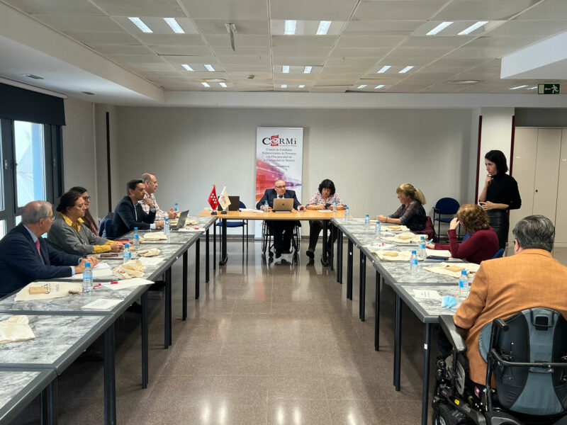 Comité Ejecutivo de CERMI Comunidad de Madrid