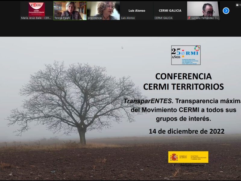 Conferencia telemática CERMI Territorios diciembre 2022 de CERMI Estatal