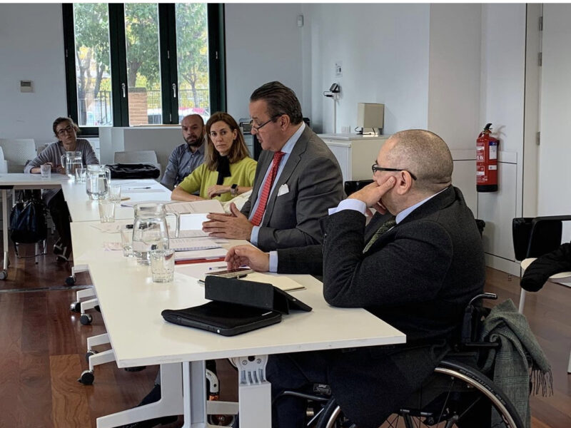 Pleno del Centro Regional de Coordinación y Valoración Infantil (CRECOVI) de la Comunidad de Madrid