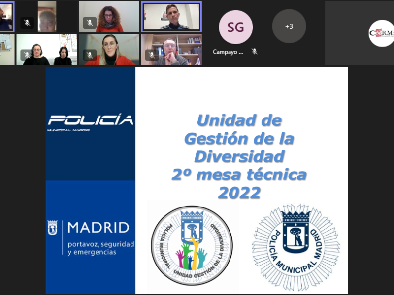 Mesa telemática Técnica de discapacidad y accesibilidad de la Unidad de Gestión de la Diversidad de la Policía Municipal de Madrid