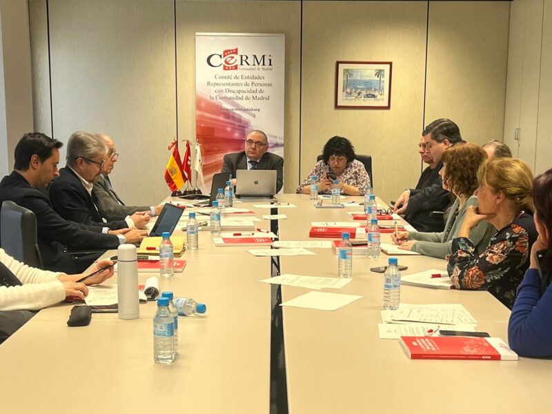 Reunión del Comité Ejecutivo Ordinario de CERMI Comunidad de Madrid