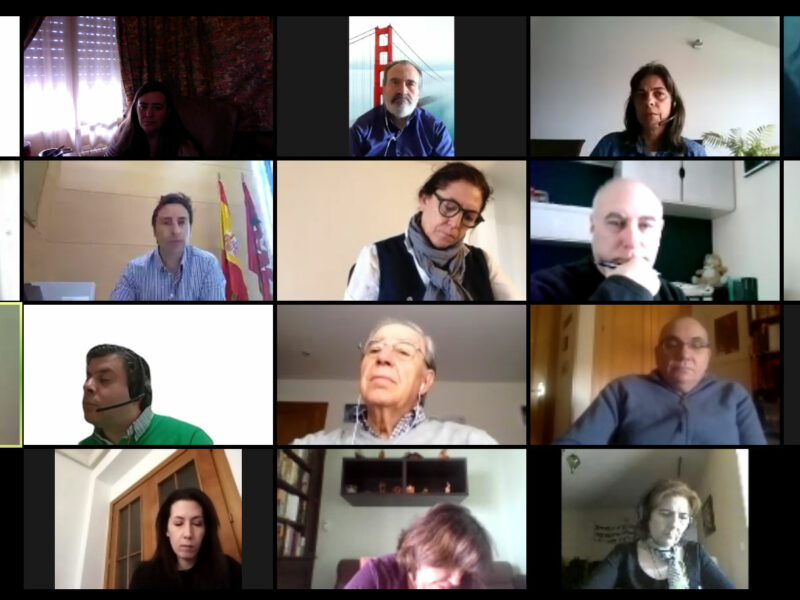 Reunión telemática con el viceconsejero de Políticas Sociales, Familias, Infancia y Natalidad de la Comunidad de Madrid
