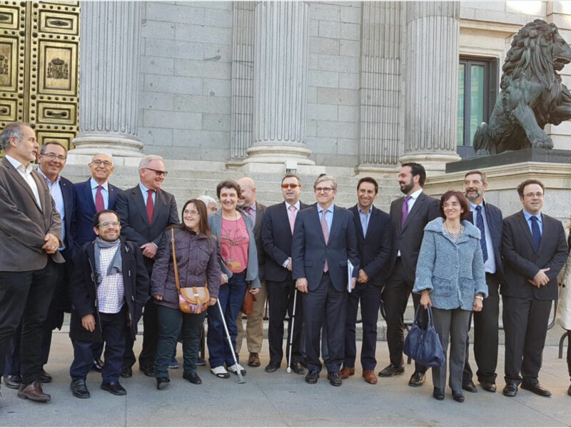 Congreso de los Diputados, defendiendo el derecho al voto de las personas con discapacidad