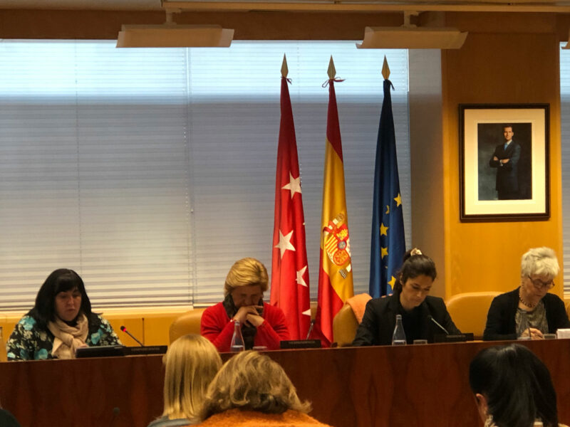 Comparecencia de la vicepresidenta y coordinadora de la Comisión de la Mujer del CERMI Comunidad de Madrid en la Comisón de Mujer de la Asamblea de Madrid