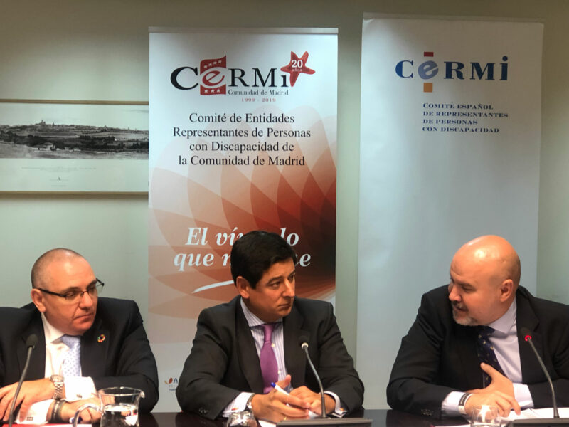 Reunión del Comité Ejecutivo de CERMI Estatal, con la asistencia de CERMI Comunidad de Madrid