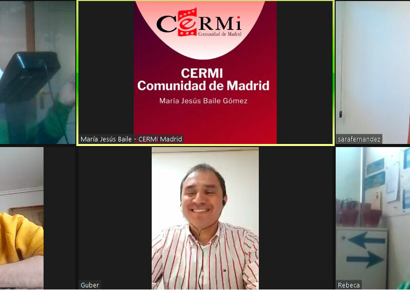 Comisión telemática de Trabajo de Cultura, Deporte y Ocio de CERMI Comunidad de Madrid
