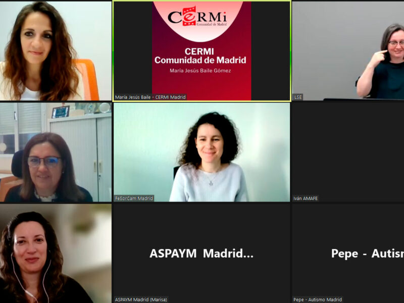 Comisión telemática de Trabajo de Empleo de CERMI Comunidad de Madrid