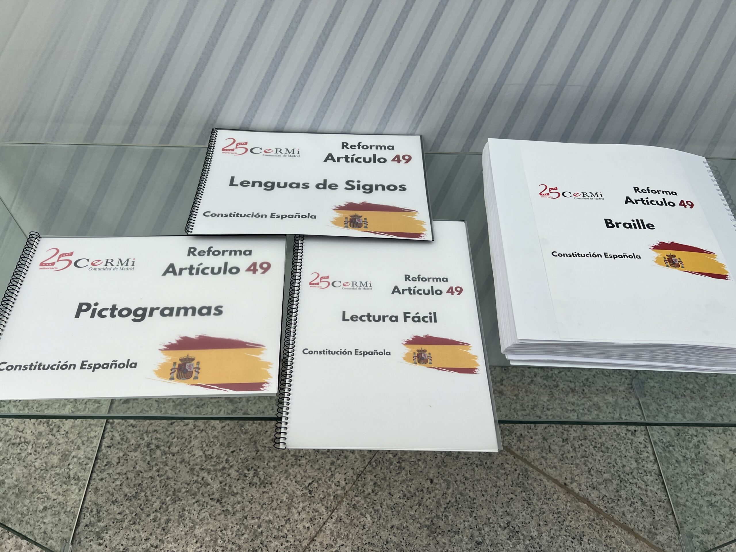 Texto accesible del nuevo A49 de la Constitución Española