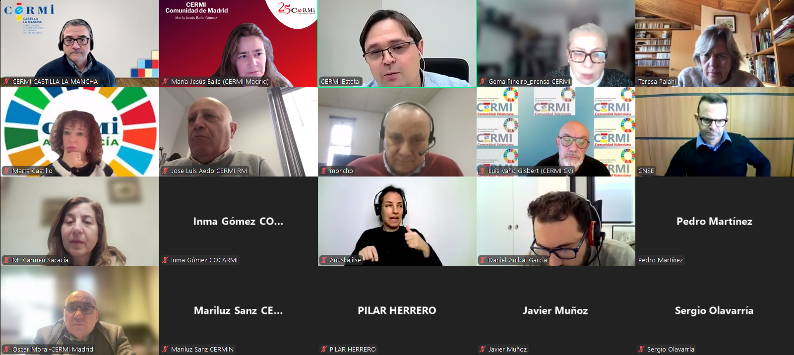 Conferencia telemática CERMI Territorios enero 2025