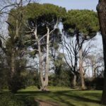Parque El Capricho. Imagen de archivo del Ayto. Madrid